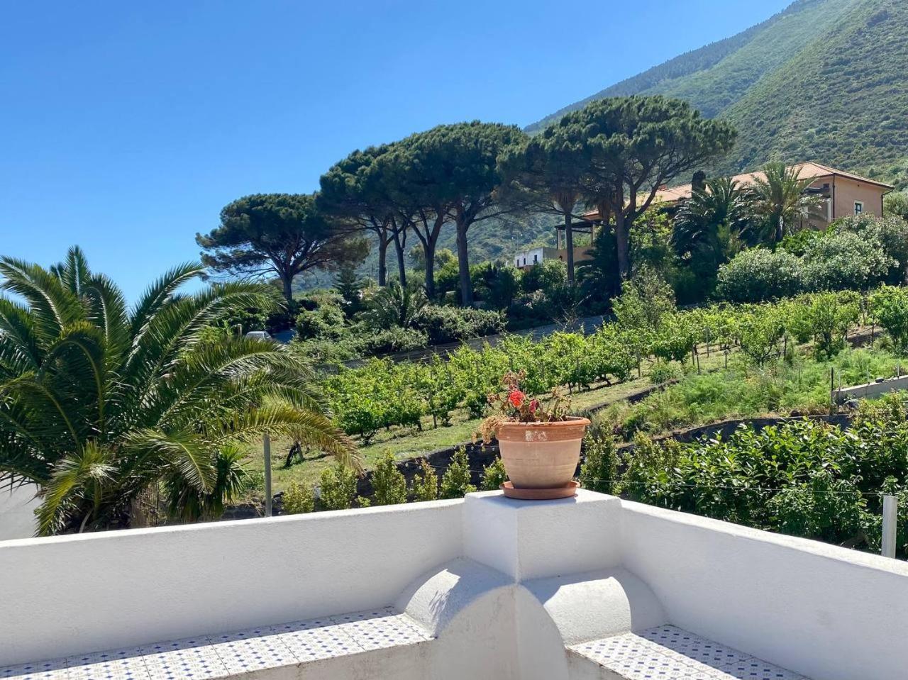 Casa Zagami Villa Malfa  Dış mekan fotoğraf