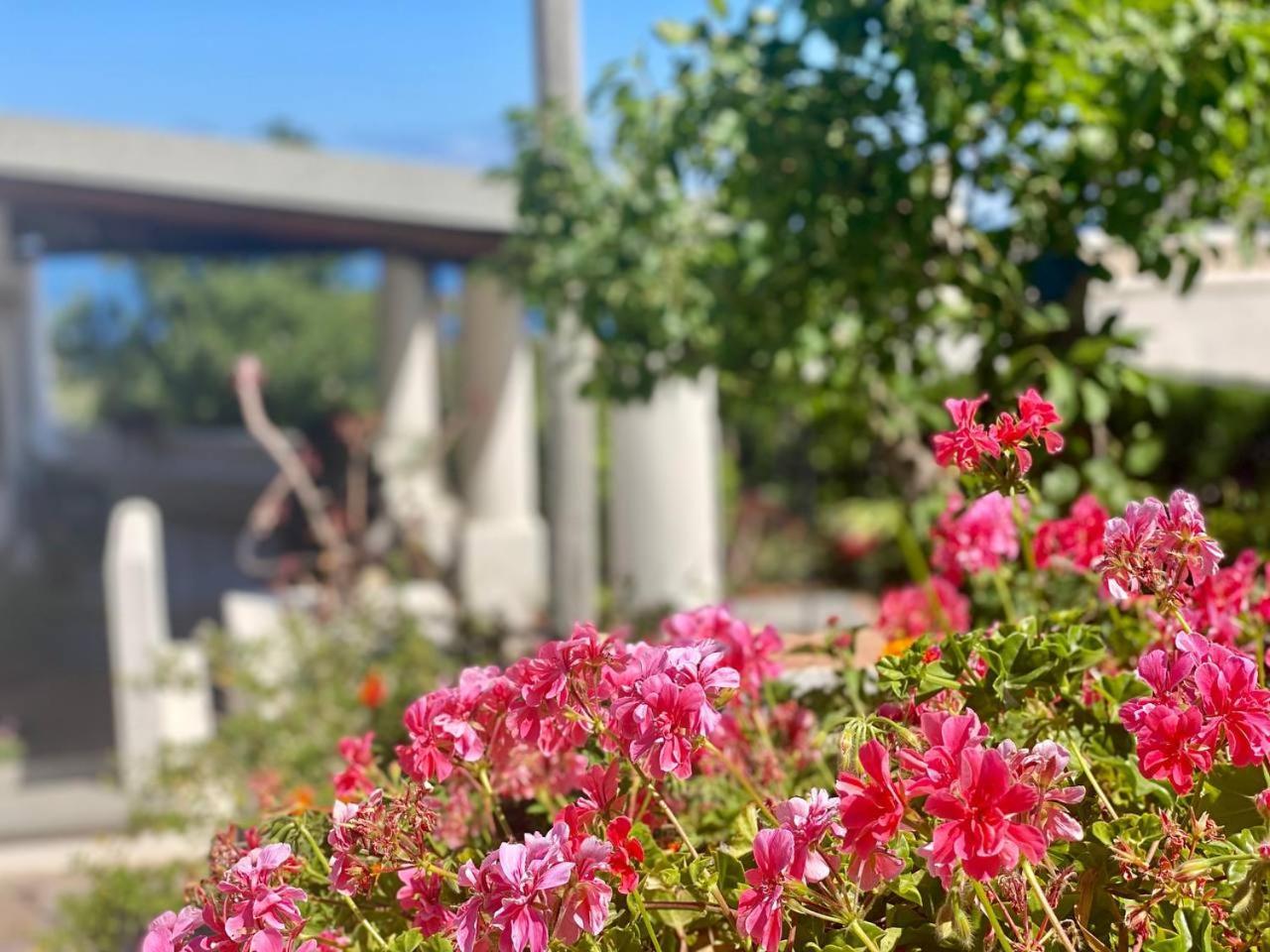 Casa Zagami Villa Malfa  Dış mekan fotoğraf